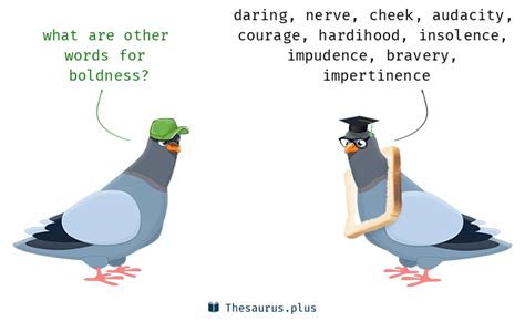 More 970 Boldness Synonyms. Similar words for Boldness.