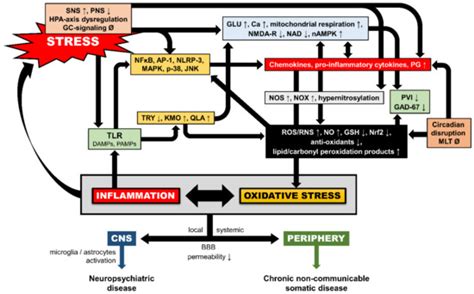 Brain Sciences | Special Issue : Neurobiological Trajectories of ...