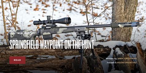 Image result for Springfield Waypoint Custom