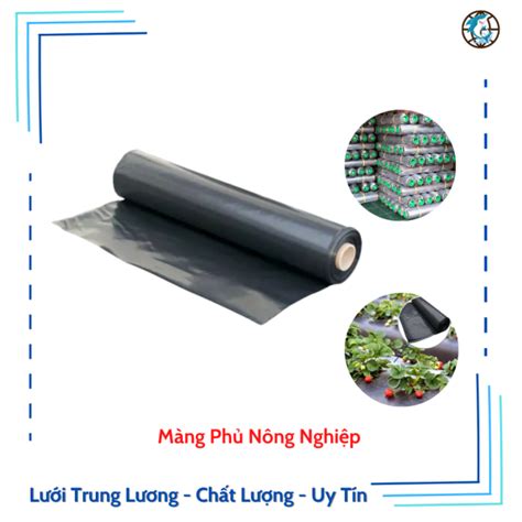Màng phủ nông nghiệp PE 2m
