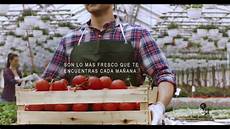 adventskranz bei aldi 2018 el sol 2018 aldi tomate y frambuesas adventskranz bei aldi 2018 el sol 2018 aldi tomate y frambuesas