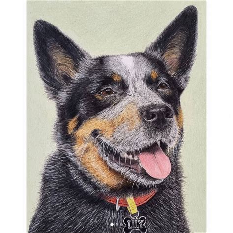 Image result for Advanced Drawing Lessons with Pencil Color