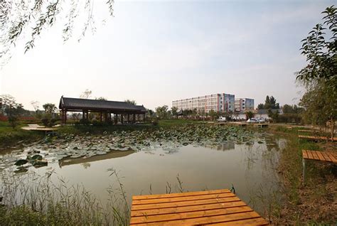 中国唯一建在水上的村子：水上住人水下养殖，堪称“东方威尼斯”_腾讯新闻