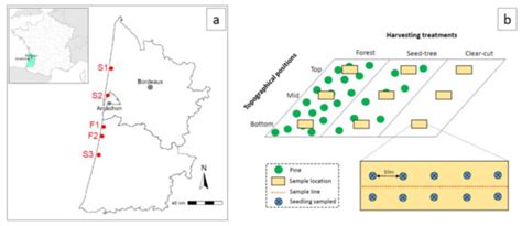 Effects of Management Practices and Topography on Ectomycorrhizal Fungi ...