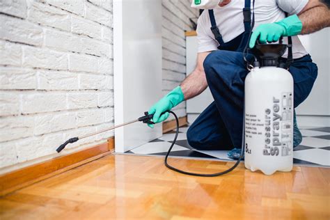 How Much Does Pest Control Cost? (2025 Guide) - Today's Homeowner