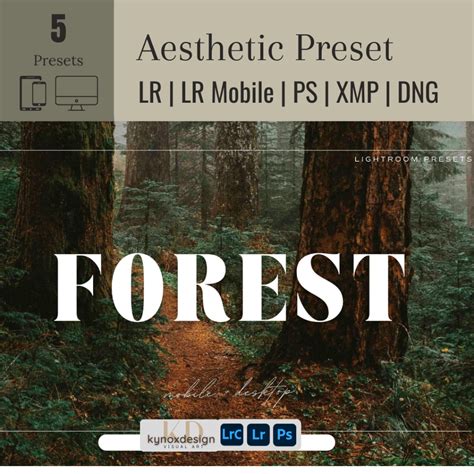 [Lightroom Preset] Aesthetic Preset - Forest for LR/LR(mobile)/PS ...