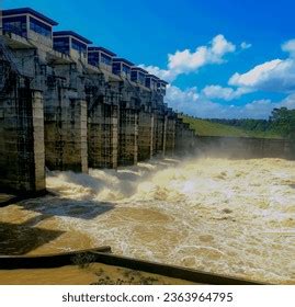 Mini Hydrow 的图像结果