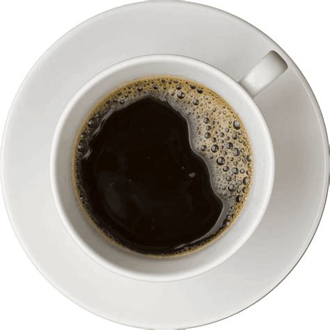 Image result for Read Scripture Bible Project