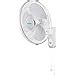 Buy Finolex Krayer High Speed Wall Fan, 400 MM, 130 Watt White Online ...
