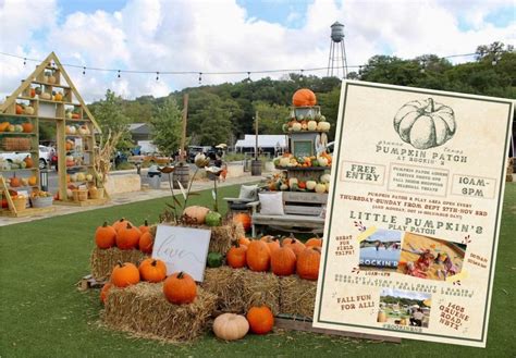 The Pumpkin Patch and Little Pumpkins Play Patch at Rockin R, 1405 ...