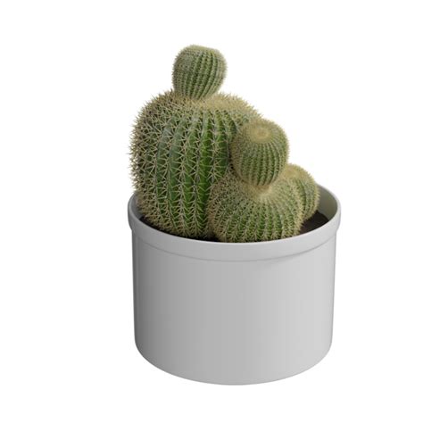 Realistic plant 3D Models | Freepik