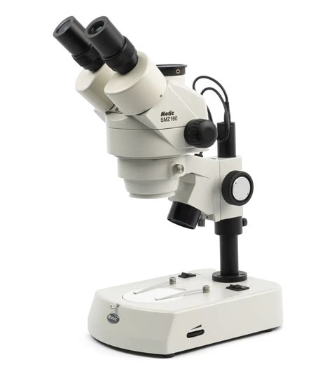 Dissecting Microscope Examples 的图像结果