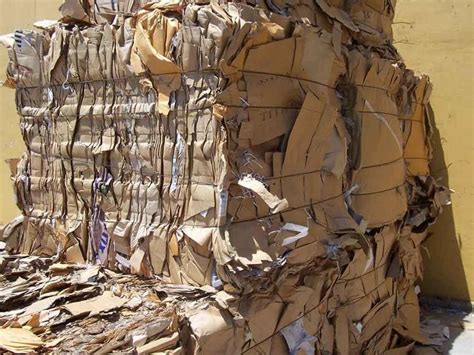 कचरे को रिसाइकल कर बनाया जा रहा है कागज, Video देख हैरान हुई जनता, बोली ...