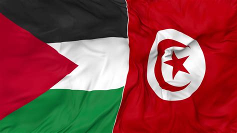 Palestine and Tunisia Flags Together Seamless Looping Background ...