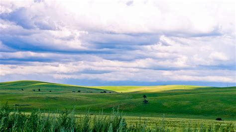 内蒙古呼伦贝尔大草原,高清图片,电脑桌面-壁纸族