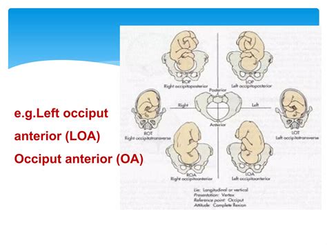 Fetopelvic relationship | PPTX