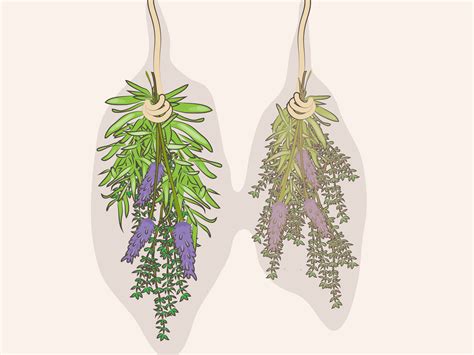 Making Nesting Boxes 的图像结果