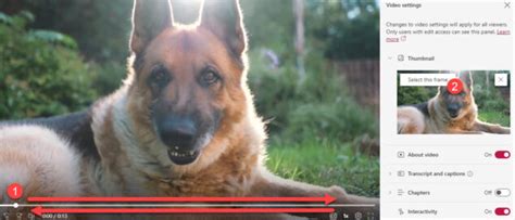 Image result for How to Change Thumbnail On Video File