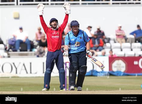 James Foster of Essex with a big appeal for the wicket of Richard Levi ...