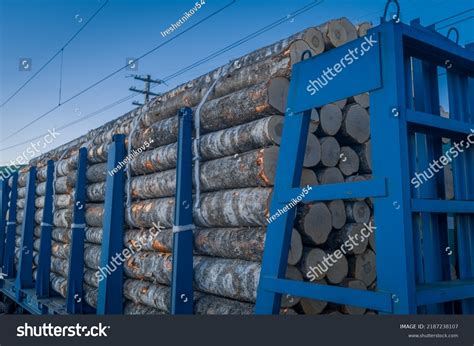 Image result for Transles