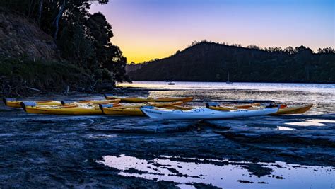 Bioluminescent Kayak Tour | Activities & Day Trips in Auckland, New Zealand