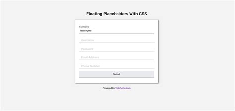 [Demo] Floating Placeholder With CSS - HTML/CSS Tutorial - Tech Hyme