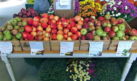 Family Fun: Apple Picking At Seven Ponds Farm In Water Mill! - KDHamptons