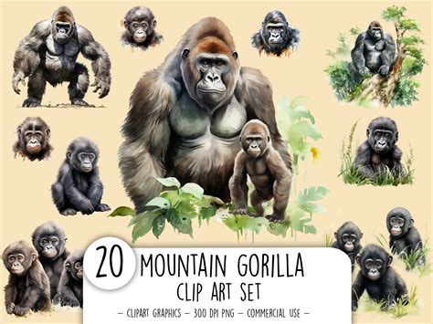 Watercolor Mountain Gorilla Clipart Bundle Commercially FREE Exotic ...