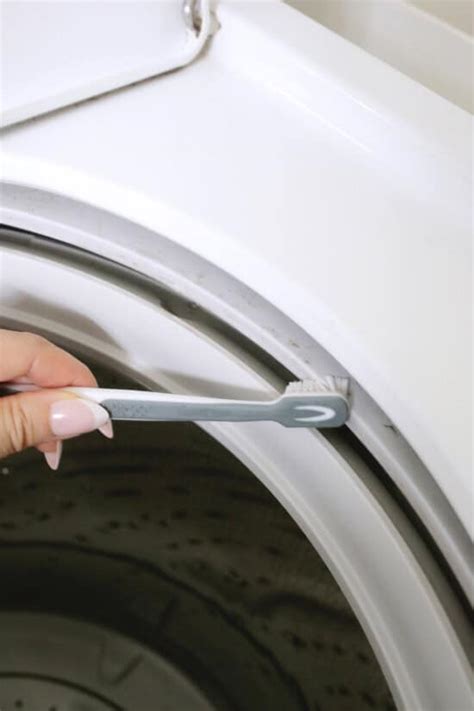Image result for How to Clean Wash Machine