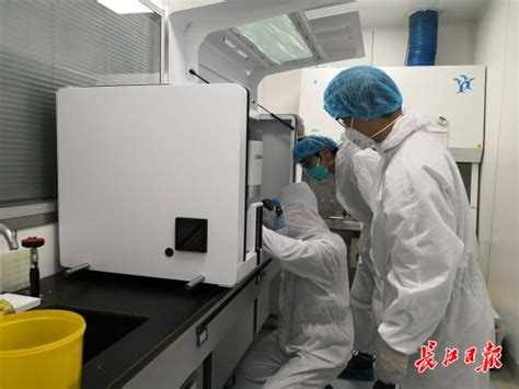核酸检测效率再提速，上海市向湖北捐赠10台核酸检测设备_首页武汉_新闻中心_长江网_cjn.cn
