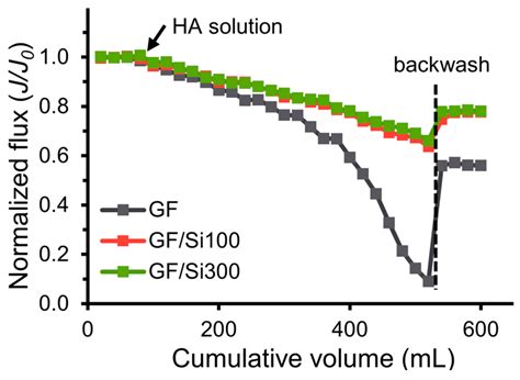Silica-Nanocoated Membranes with Enhanced Stability and Antifouling ...