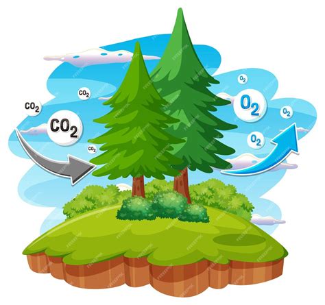 Image result for O2C Cycle Vector Cliparts