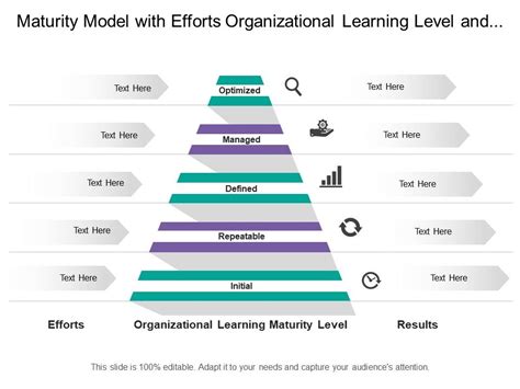 Image result for Learning Organization Maturity Model