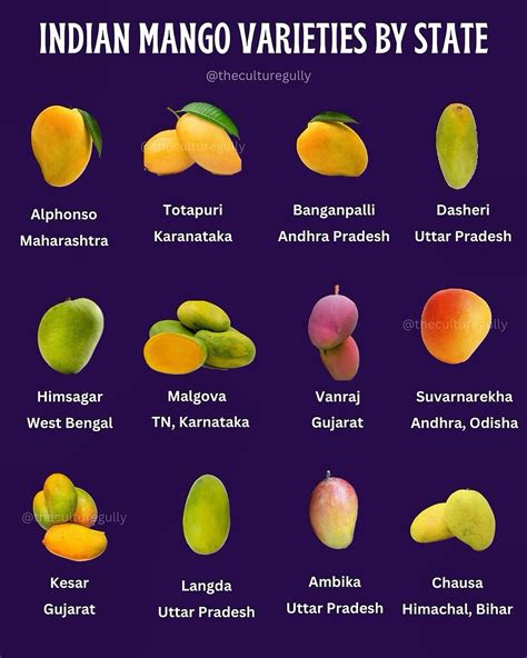 Image result for Mango Production Script Script