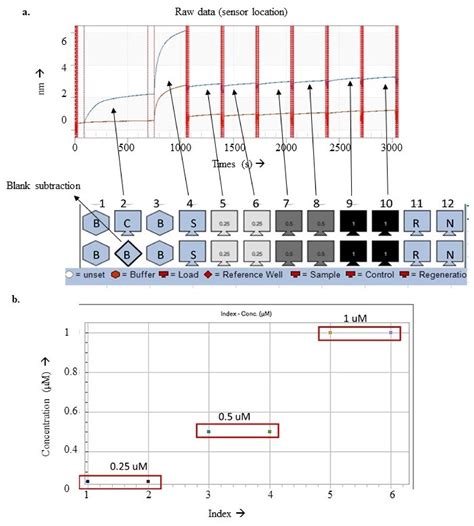 Polyclonal Antibody Generation against PvTRAg for the Development of a ...