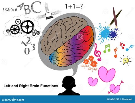Right Brain Left Brain 的图像结果