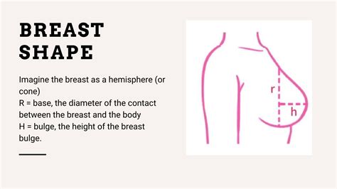 Normal Breast Shape And Size