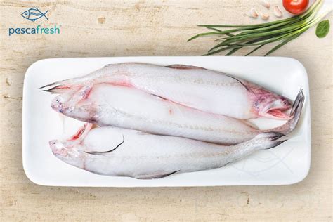 pescafresh-it's all about passion