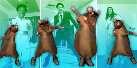 Image result for Rat Dancing Meme Tutorial