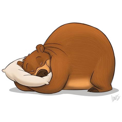 Bear Hibernation