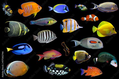 Image result for One-Dimensional Array Real-Time Examples