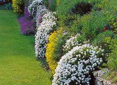 plantes vivaces pour talus jardin en pente vivaces pour fleurir un mur plantes vivaces pour talus jardin en pente vivaces pour fleurir un mur
