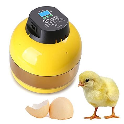 Magicfly Digital Mini Semi Automatic Egg Incubator 10 Eggs Poultry ...