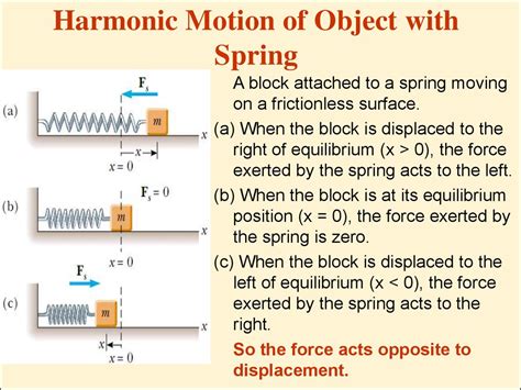 Image result for Simple Harmonic Motion Examples With