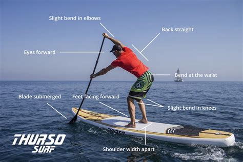 Image result for Paddleboarding Tips