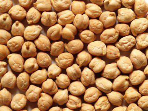 40 Garbanzo Bean Seeds for Planting - Grow Chickpeas - Walmart.com