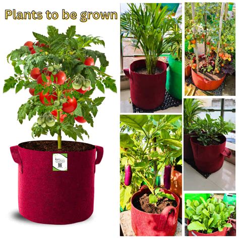 Buy 12x12 inch Geo fabric grow bags online at best price