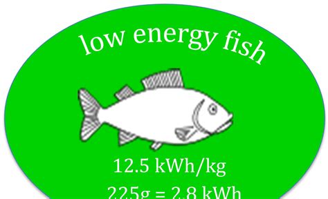 Image result for Absolute Numbers Examples