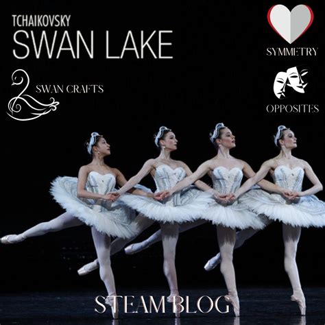 Swan Lake Ballet Explained at Ami Hernandez blog