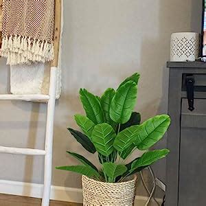 Buy SHAKTISM Artificial Banana Plants Banana Tree Leaves with Stems ...